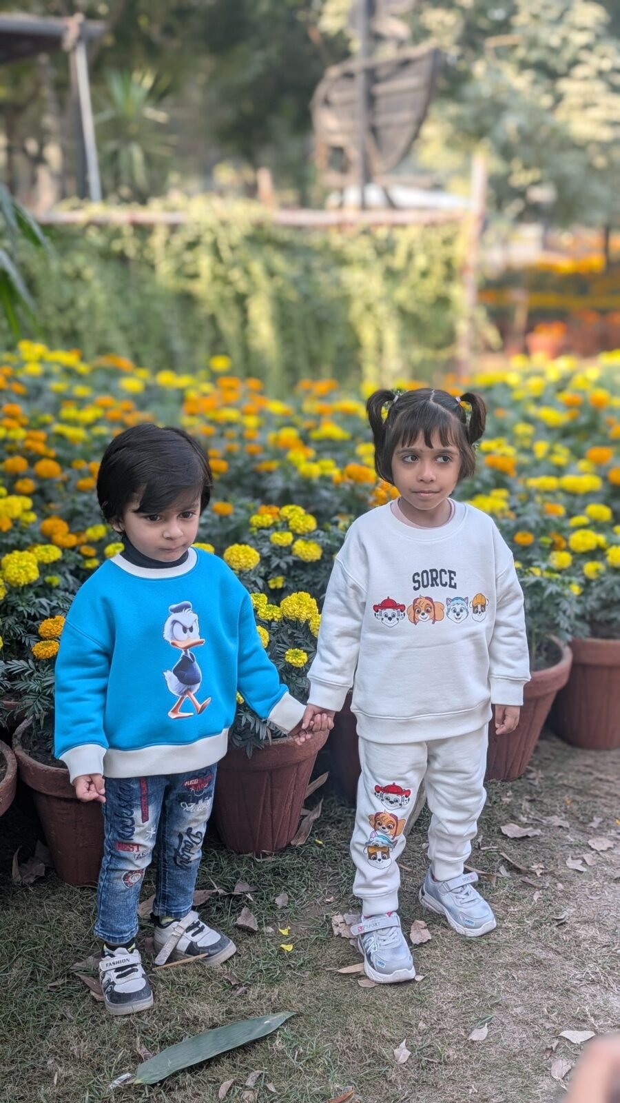Kids Donald Duck Crewneck Sweatshirt - Winter Collection at MODST Kidswear