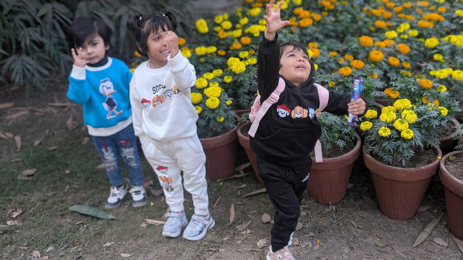 Kids Donald Duck Crewneck Sweatshirt for children in Pakistan